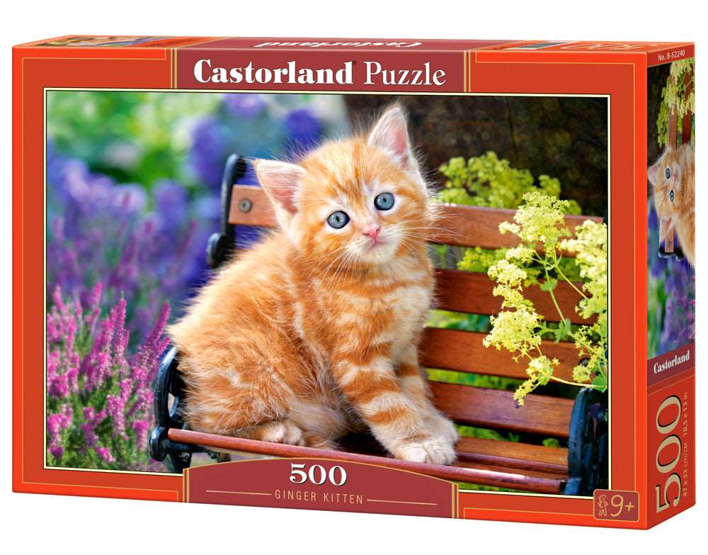 500 Piece Jigsaw Puzzle, Ginger Kitten, Animal puzzle, Cat puzzle, Kittie puzzle, Cute cat, Adult Puzzles, Castorland B-52240