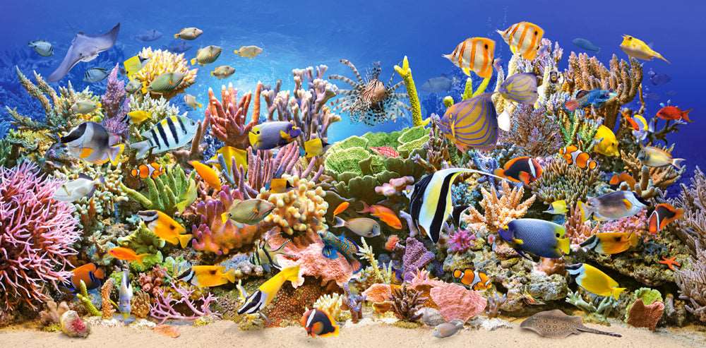 4000 Piece Jigsaw Puzzle, Underwater life, Sealife, Ocean, Adult Puzzles, Castorland C-400089-2